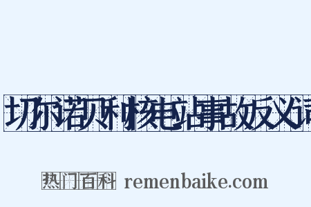 切尔诺贝利核电站事故反义词是什么意思的图片
